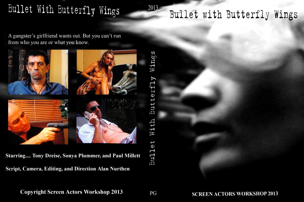 Bullet with Butterfly Wings DVD slick